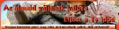 Otthon v�gezhet� internetes munka!